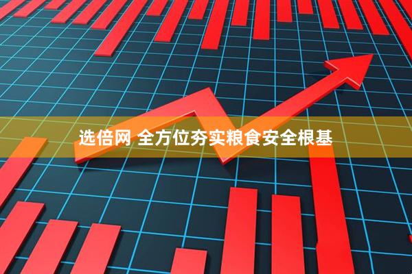 选倍网 全方位夯实粮食安全根基