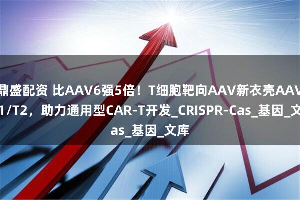 鼎盛配资 比AAV6强5倍！T细胞靶向AAV新衣壳AAV‑T1/T2，助力通用型CAR‑T开发_CRISPR-Cas_基因_文库